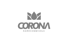 corona_site